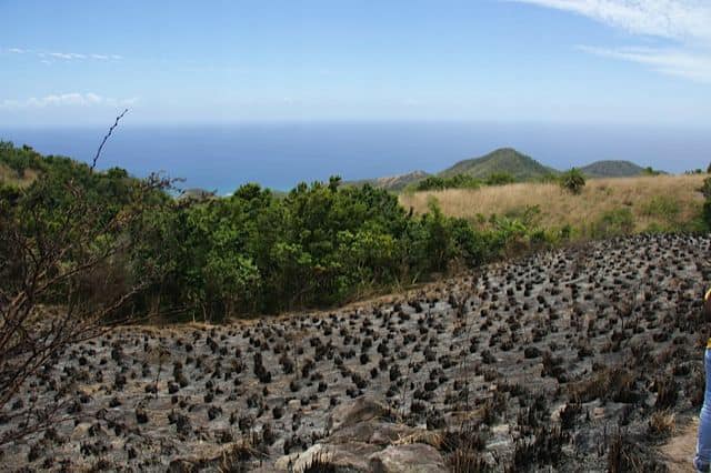 Fire Department Records Less Bush&nbsp;Fires