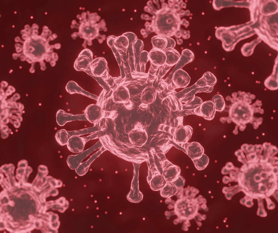 Education Official Urges Safety as Students Enjoy&nbsp;Holidays