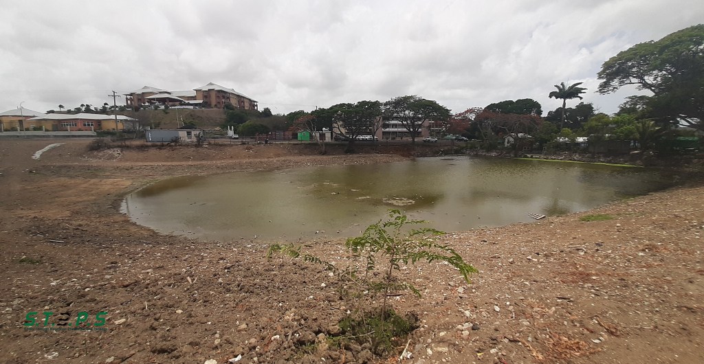 Little Pond, Big Pond; Country&nbsp;Ponds