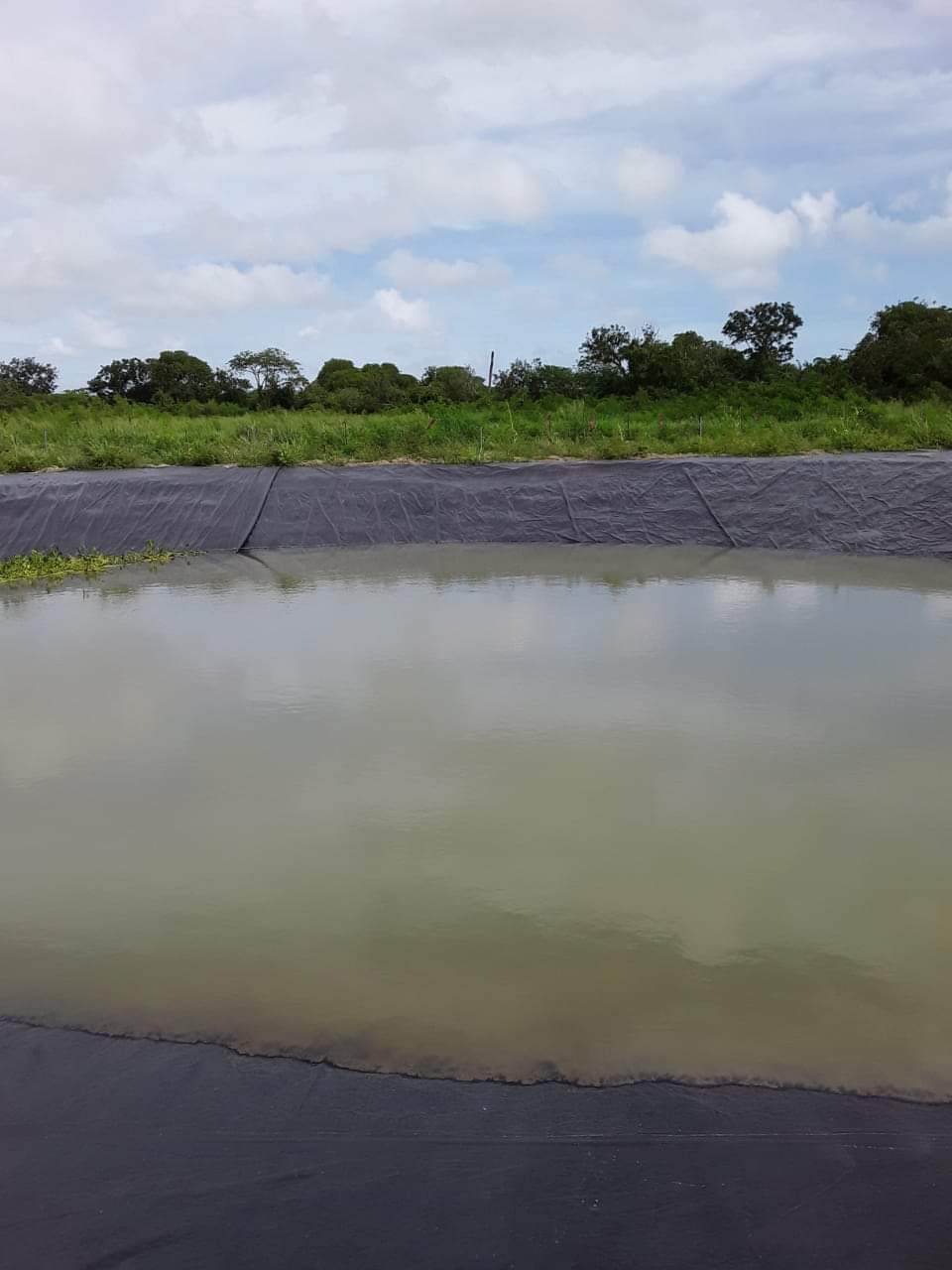 Water Catchments Receive Much Needed&nbsp;Rainfall