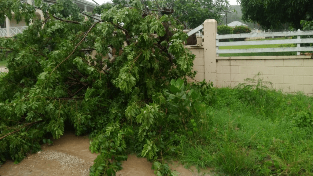 CCRIF Makes Four Payouts Totalling US$15.2 Million During October for 2022 Hurricane Season&nbsp;Events