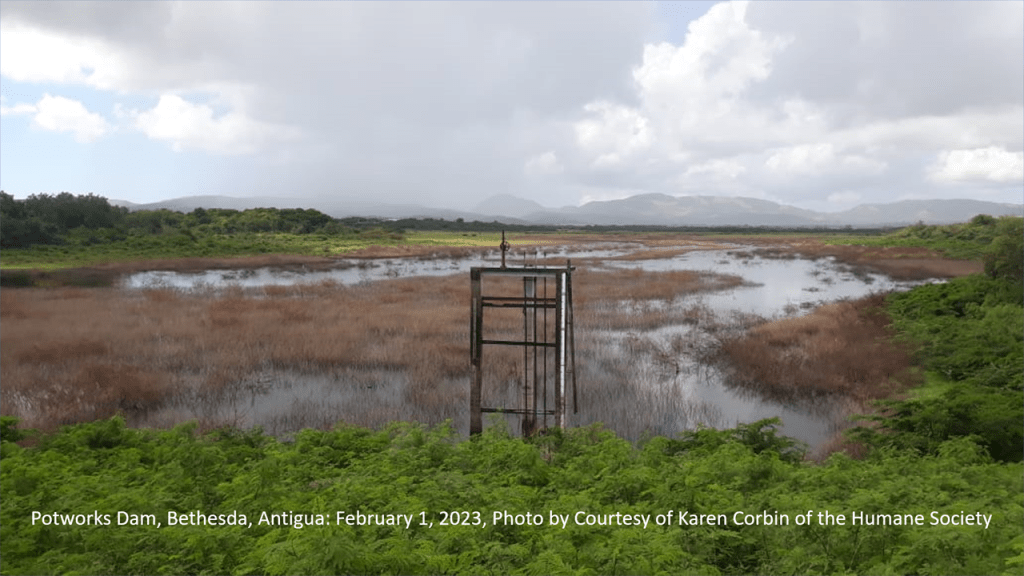 Dale C.S. Destin: From Severe Drought To Average&nbsp;Rainfall