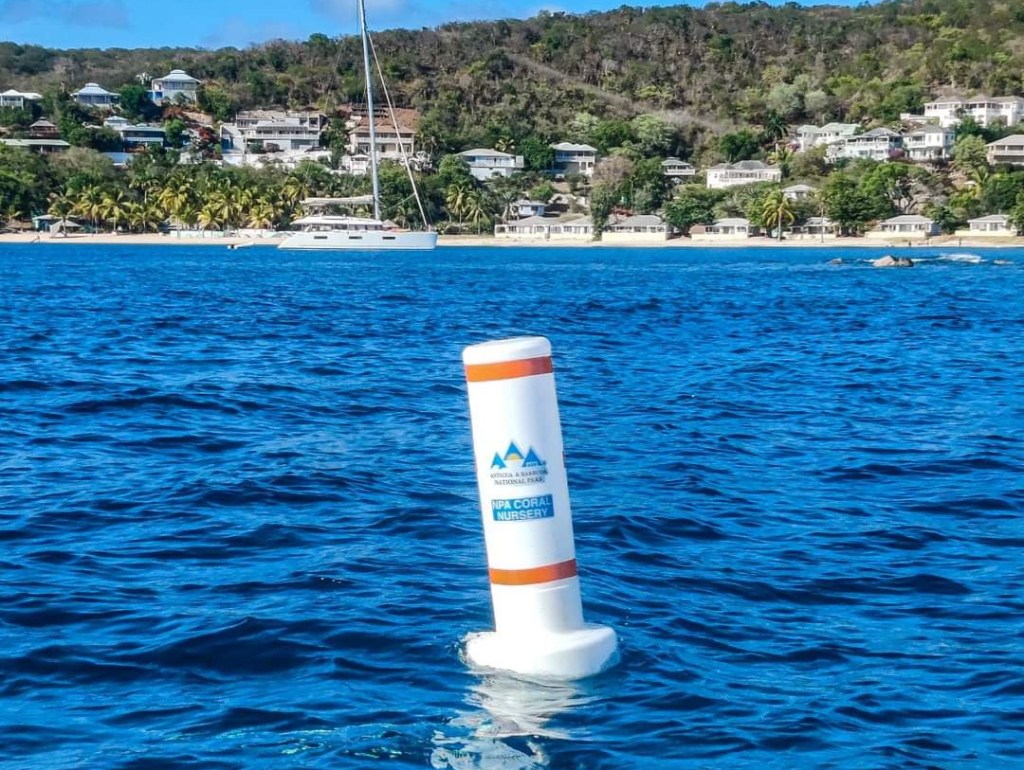 EMERGENCY ALERT: Coral Plant Nursery Buoy&nbsp;Stolen