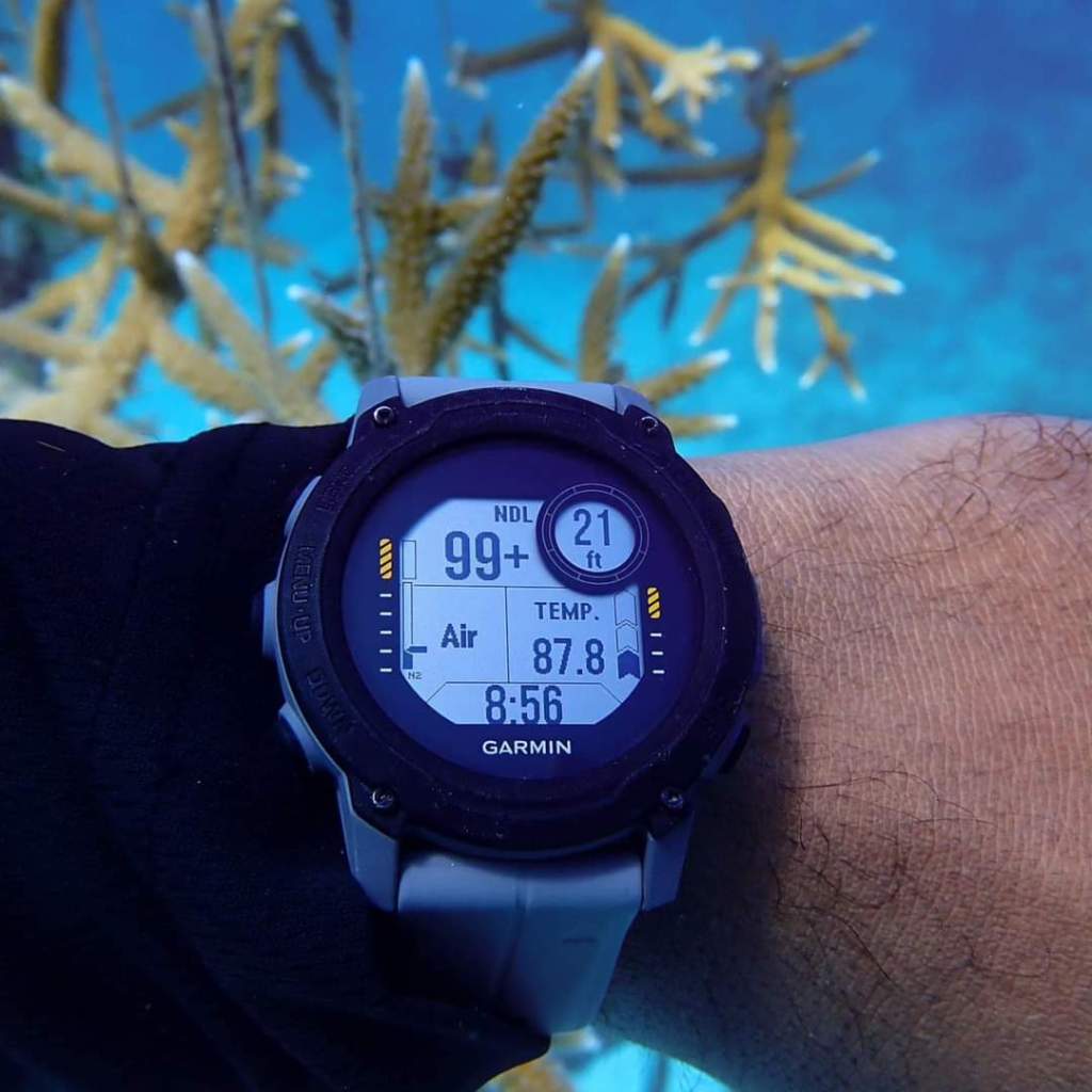 Increasing Ocean Temperatures Harmful to Marine&nbsp;Life