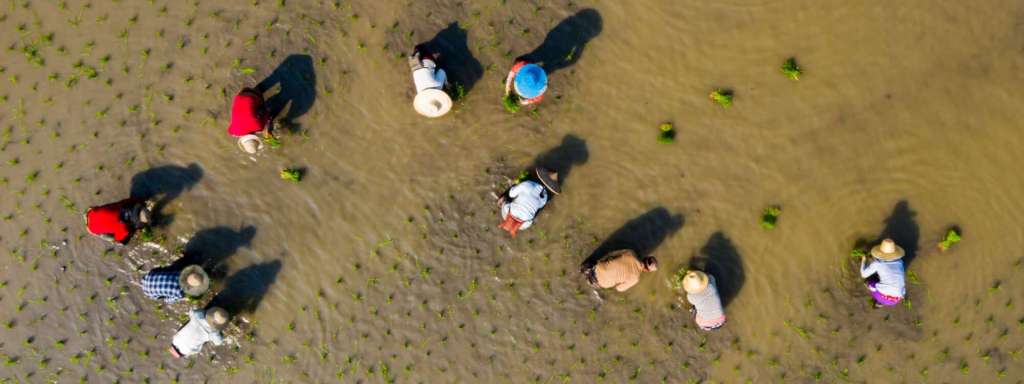 MESSAGE: Head of UNDRR on IDDRR&nbsp;2023