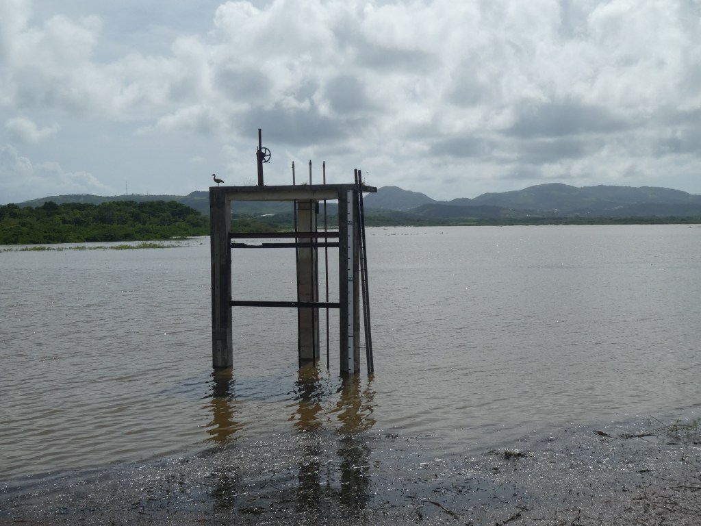 Tropical Storm Philippe’s Unprecedented Rainfall and Unexpected&nbsp;Journey