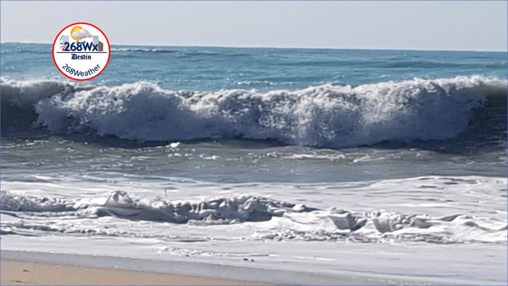 Navigating the Swell Season: Understanding High Surf Conditions and Staying&nbsp;Safe