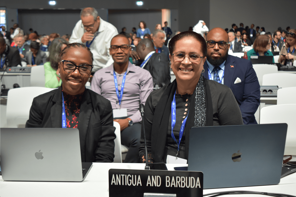 COP28 Adopts Historic Loss and Damage&nbsp;Fund