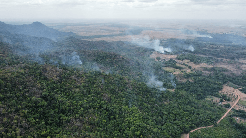 Widespread Wildfires Burning Across&nbsp;Guyana