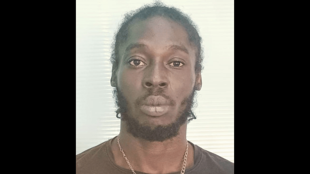 WANTED: Tevin Willock Of Grays&nbsp;Farm