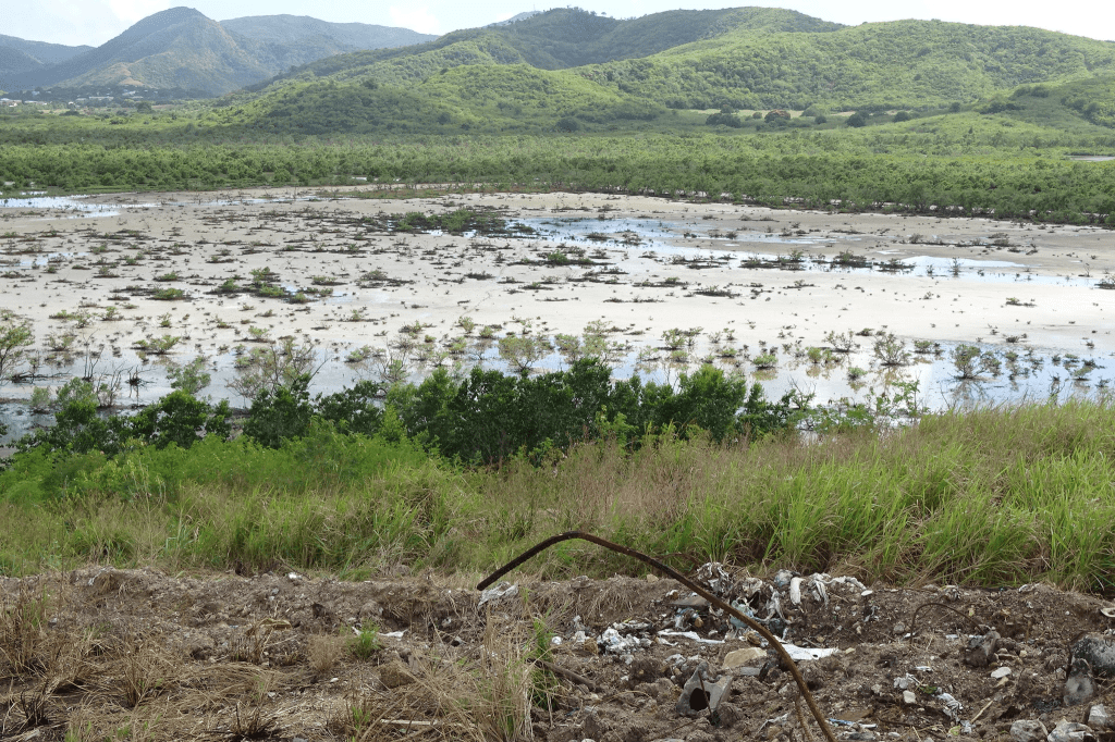 PUBLIC ADVISORY: Prohibition On Harvesting And Consuming Fish And Shellfish From Cove West Of Cook’s&nbsp;Landfill