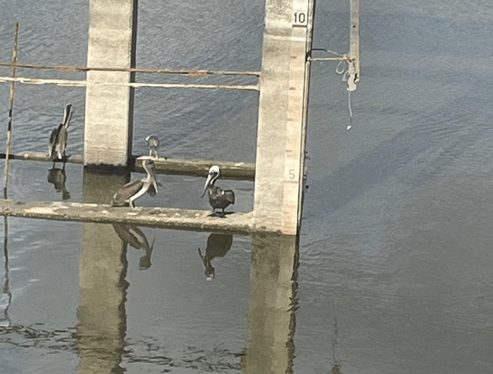 Potworks Reservoir Extraction Ceased Due To Ongoing Drought Conditions